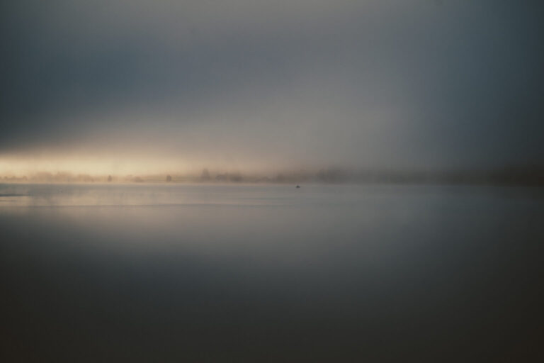 Building a Loyal Blog Audience: Strategies for Engagement and Growth